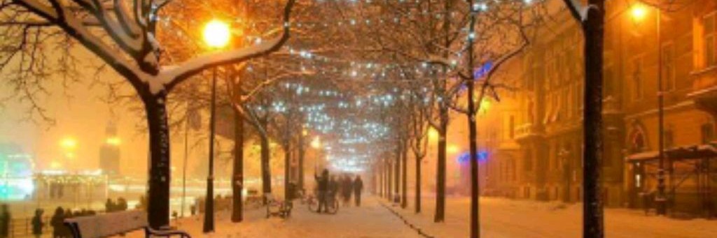 🐺_Nastya aw_🎄99 Nights in the forest