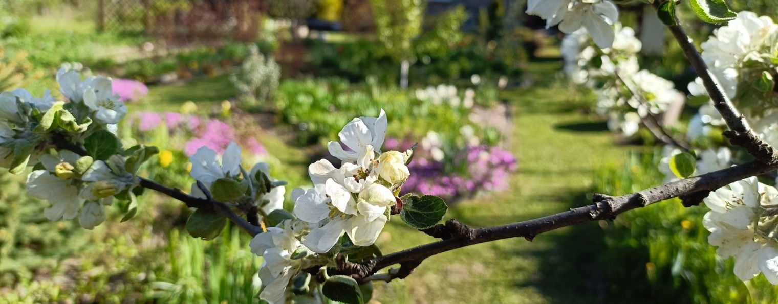 Жизнь счастливой домохозяйки🤩