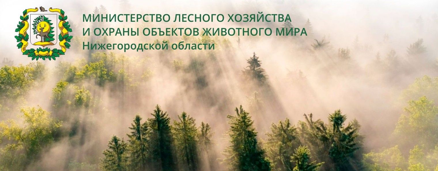 Минлесхоз Нижегородской области