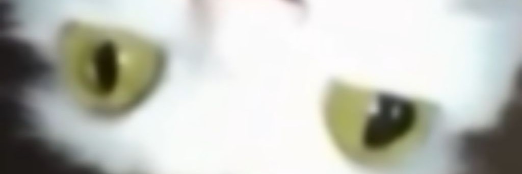 Димон 99 Ночей