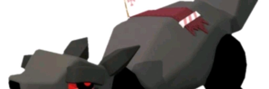 ⚫°•.𝑪𝒐𝒂𝒍.•°⚫