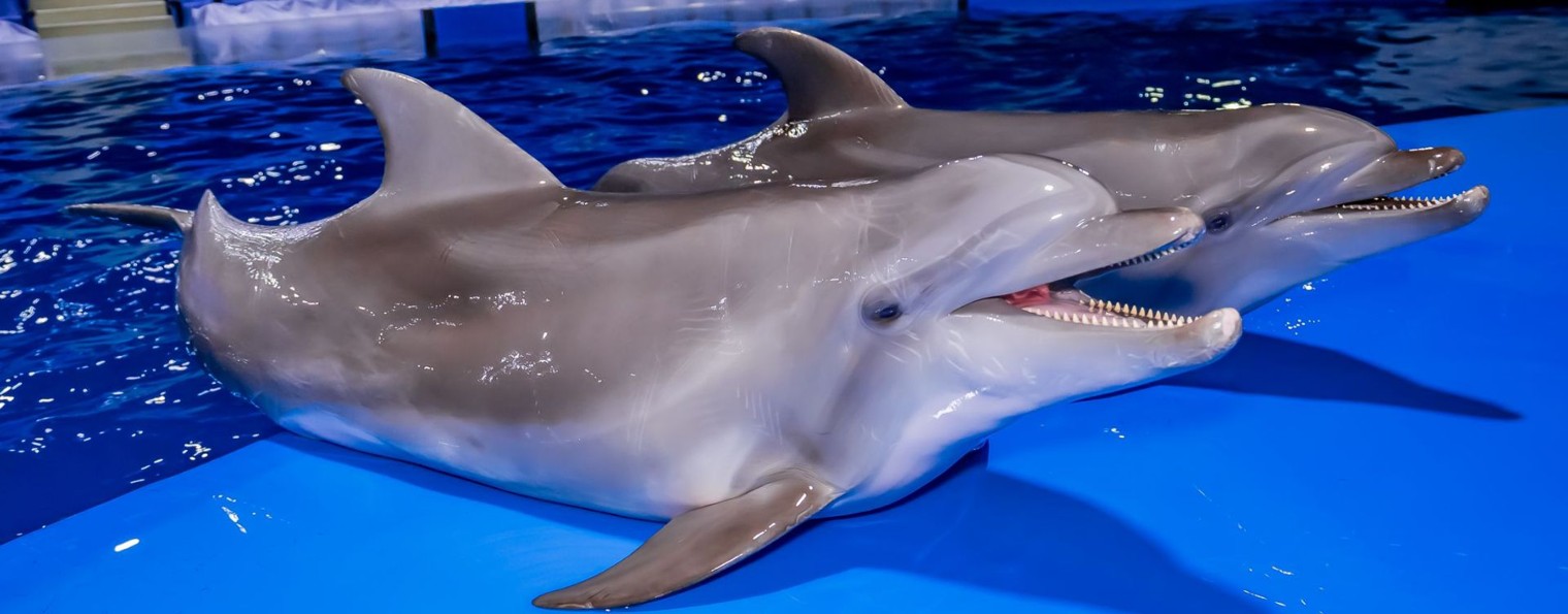 Океанариум Екатеринбурга