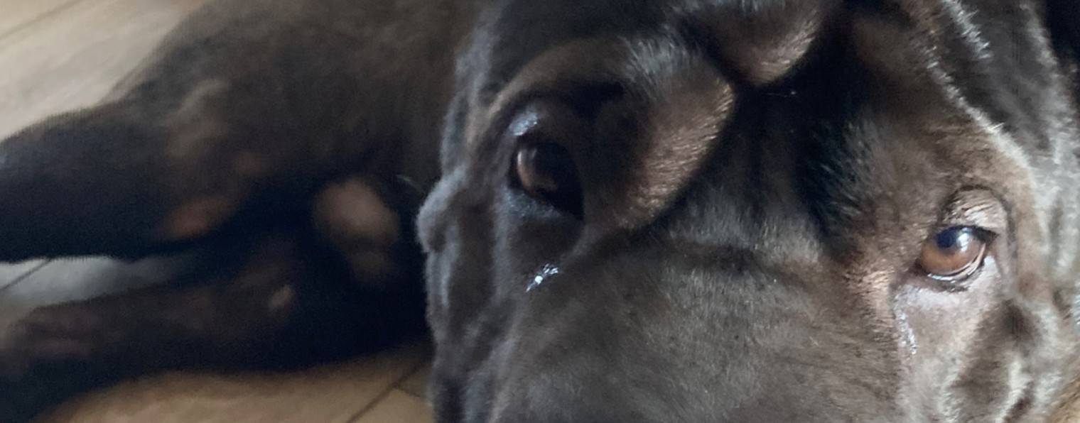 Полина и изюмка