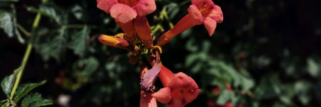 Анастасия Юфит