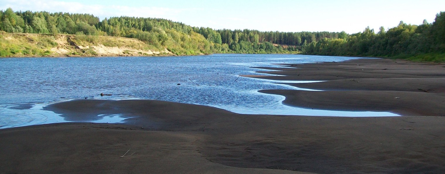 Николай Шершнёв