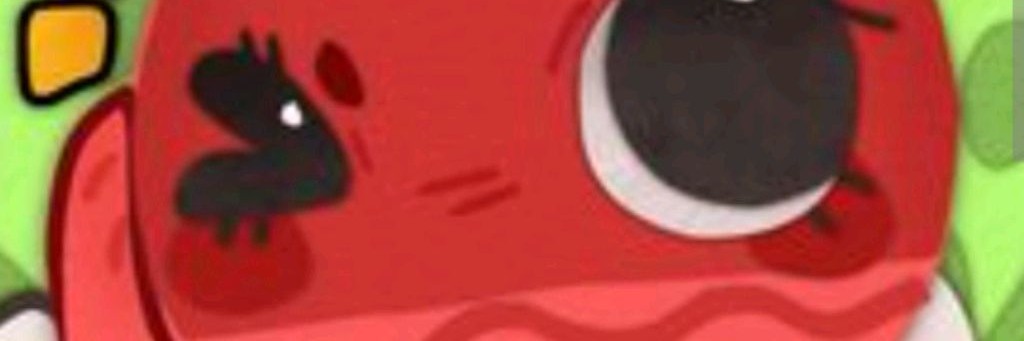 Bobbetta🌹⭐❄️☃️