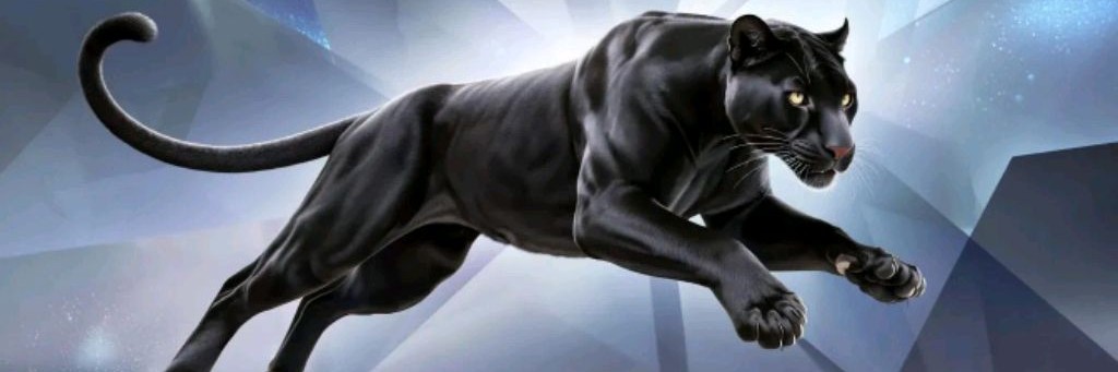 Большой котейка