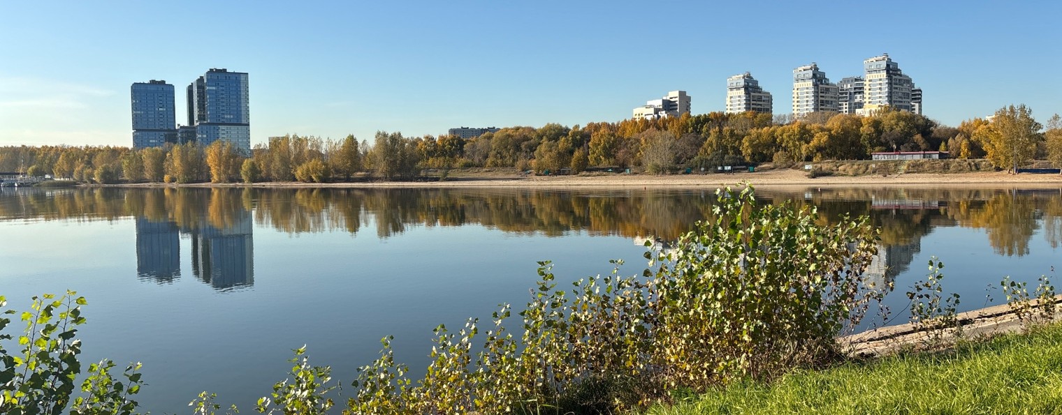 Камилла Тибаева