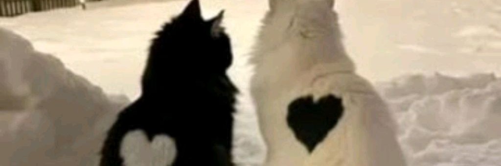 Кеседи Перец