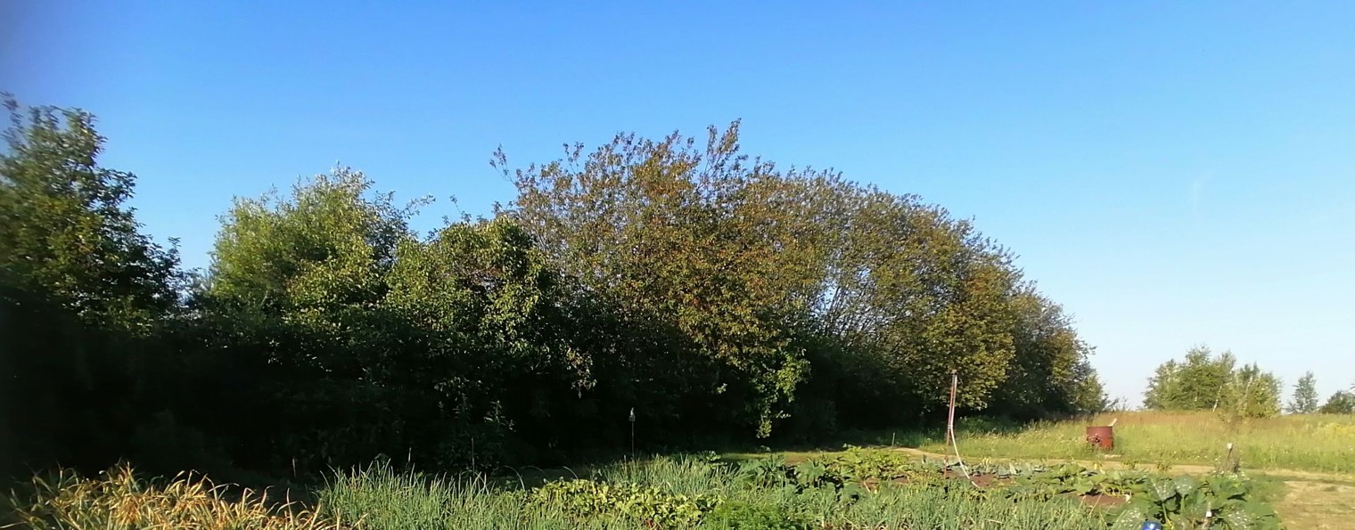 Красиво, вкусно и для жизни