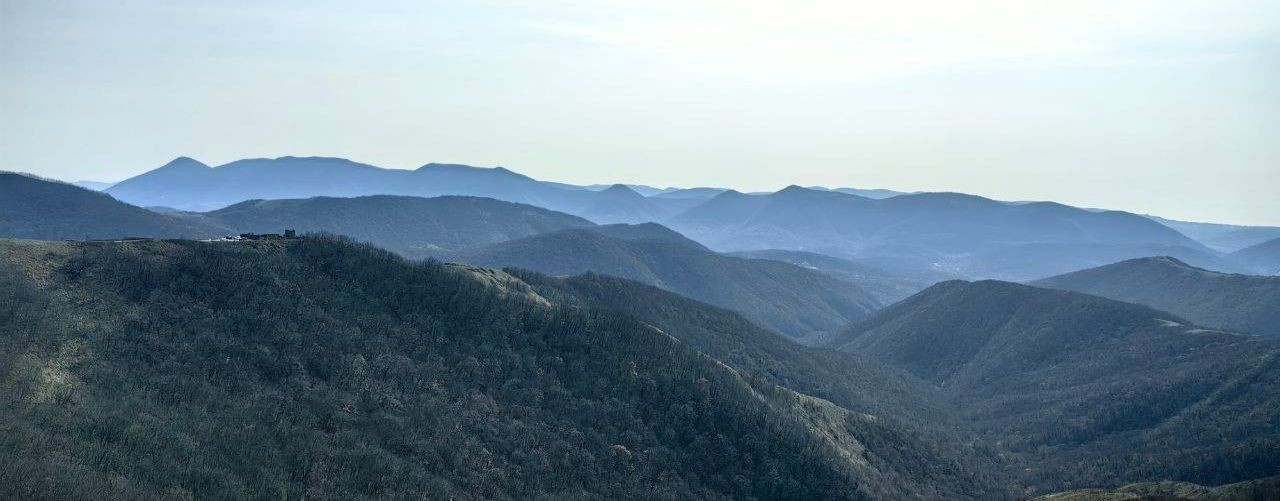 МЫ и наши истории