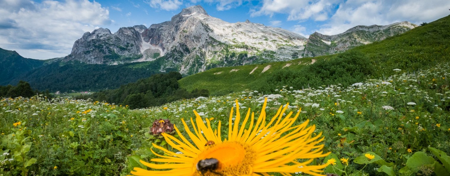 Не Центр Сочи