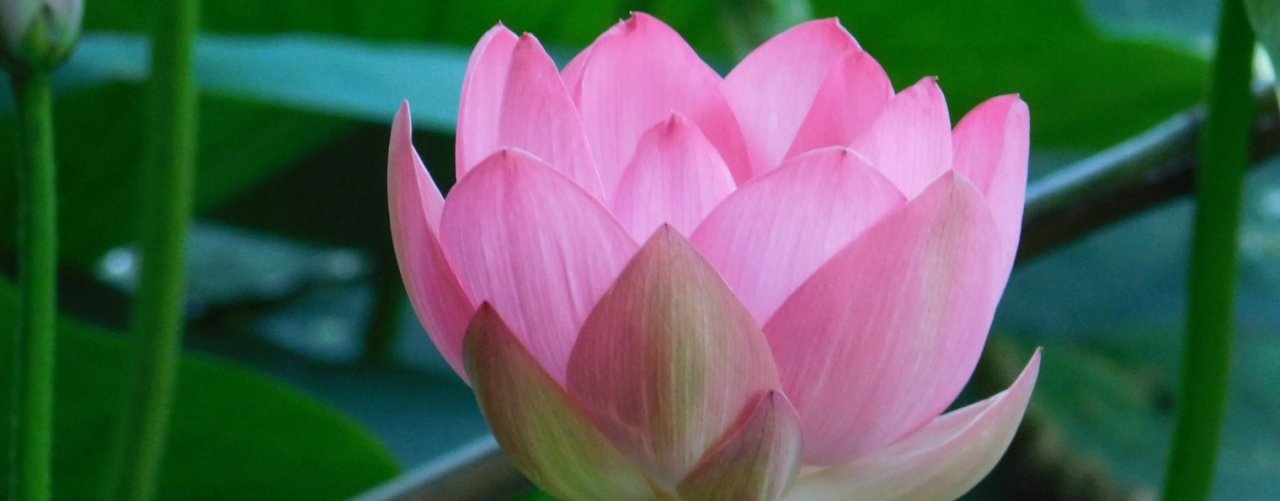 ВИКТОРИЯ 19041954 МИЛА