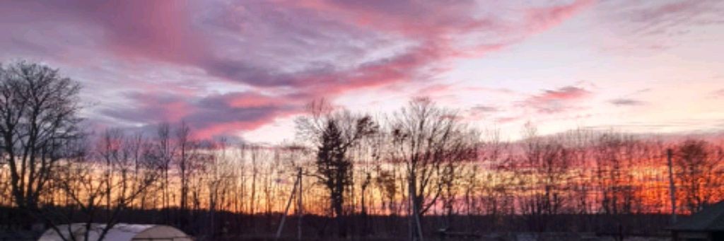 Lika Levens Лика Левенс Таро