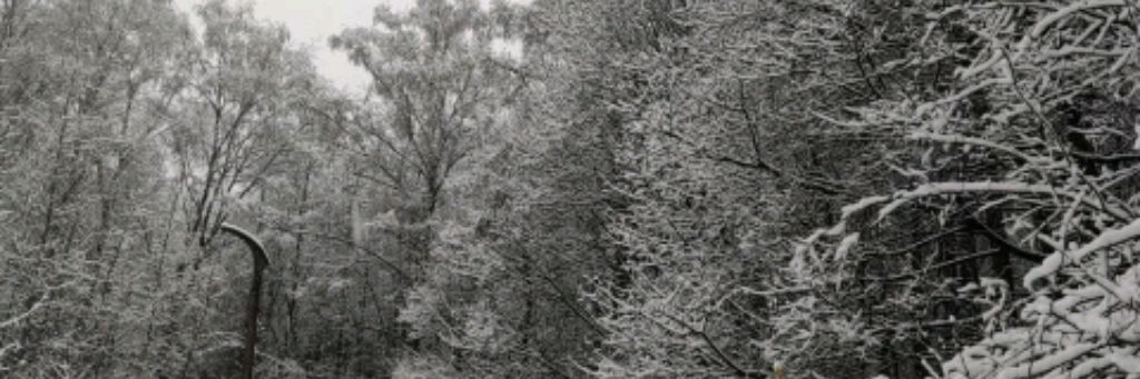 Аленка и Шорох