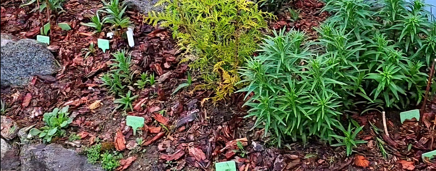 Юлия Вдохновение Life