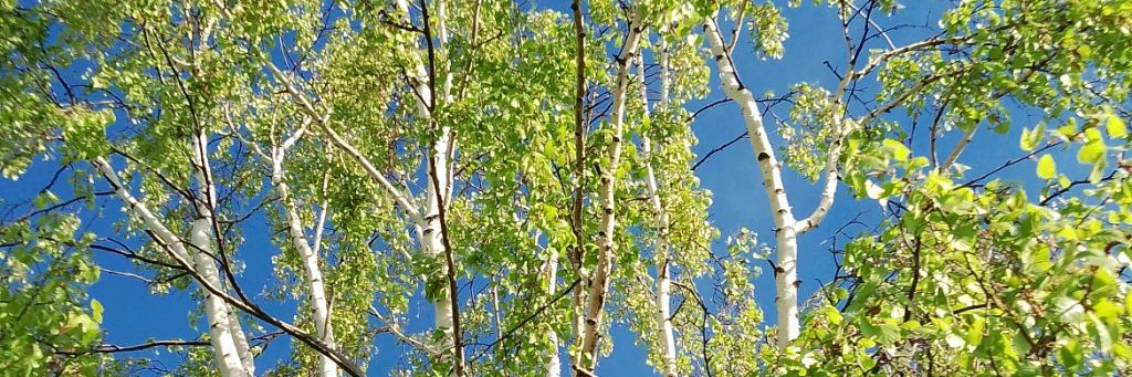 Красота Природы!