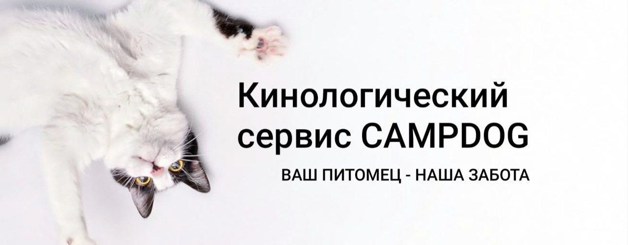 Кинологи Campdog