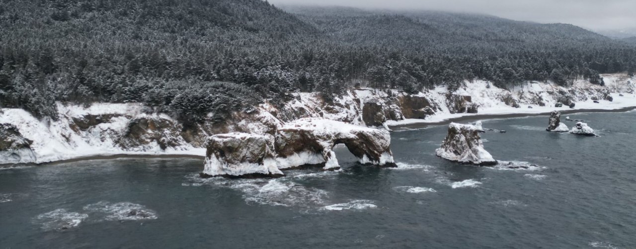 Маша Самурай