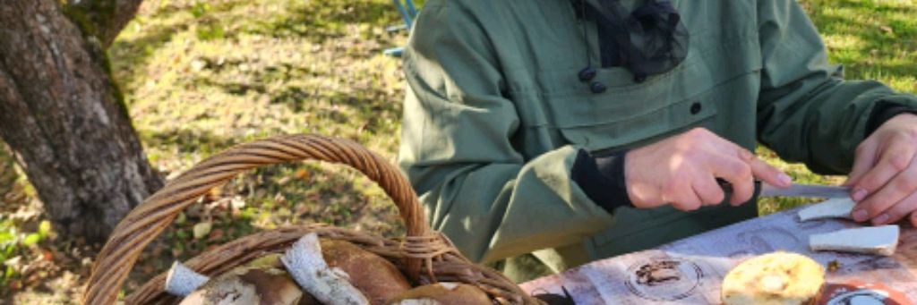 Авто Ремонт МДК- СЕРВИС.