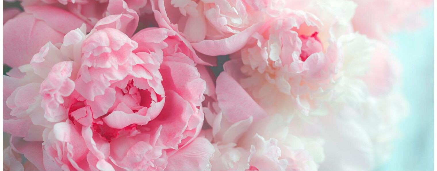 Идеальный Кадр