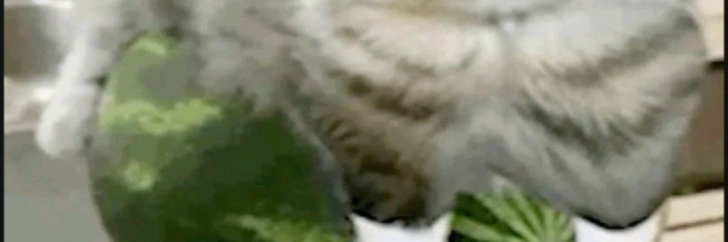 Зелёный Чубрик