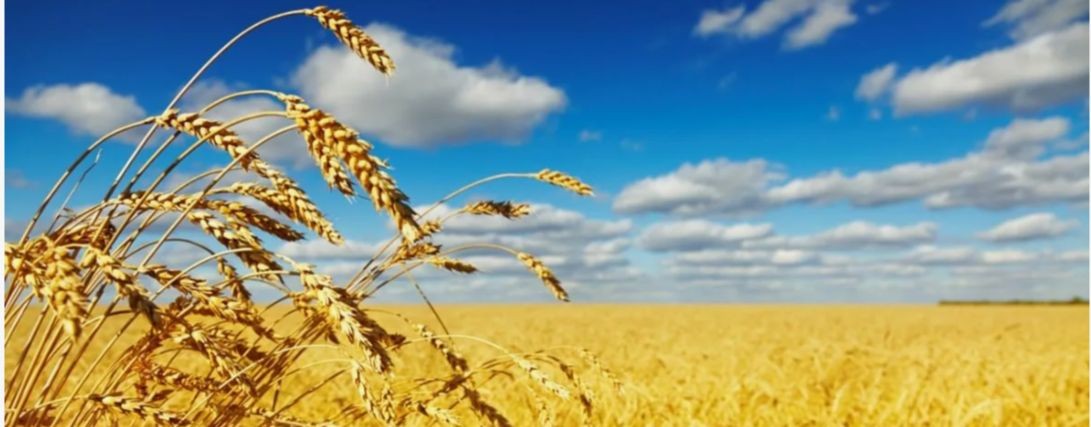 Богиня Мокошь