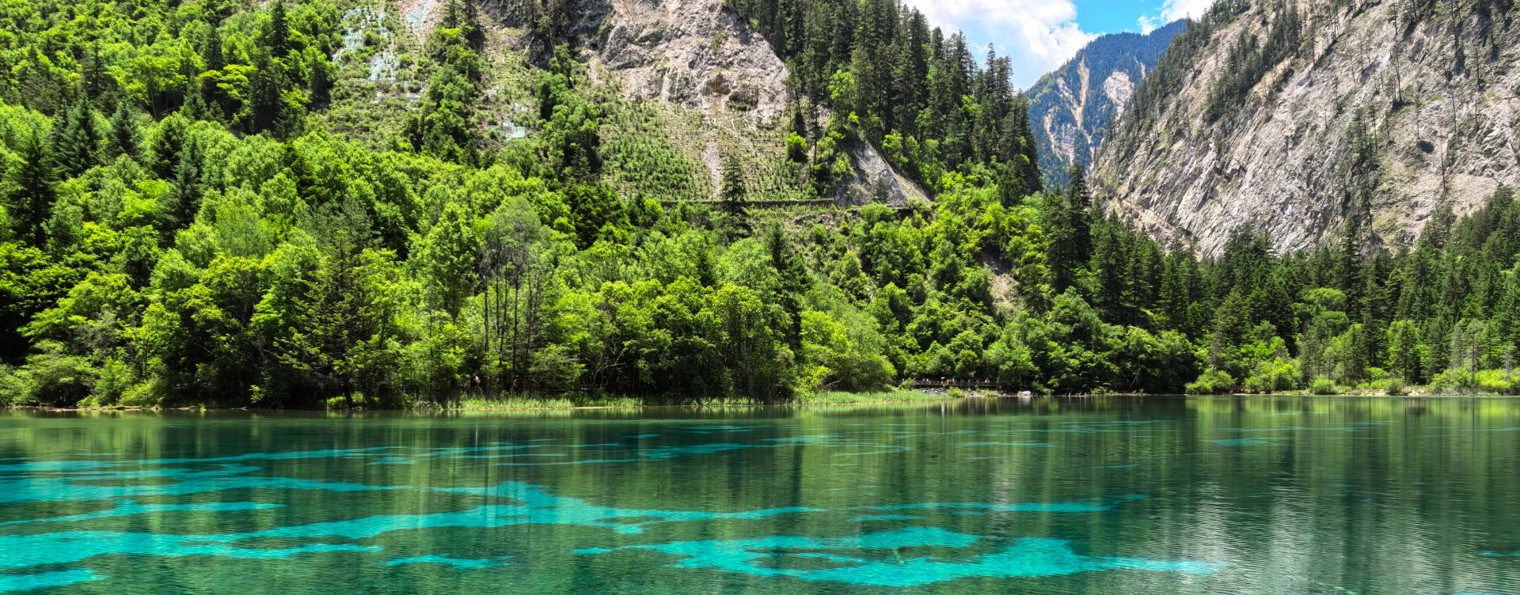 Путешествия По Миру в 4К