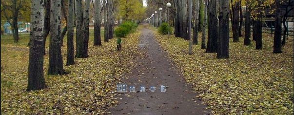 Алгоритм жизни / ЖенёК