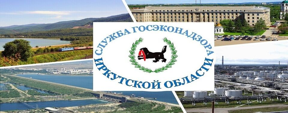 Служба Госэконадзора Иркутской области