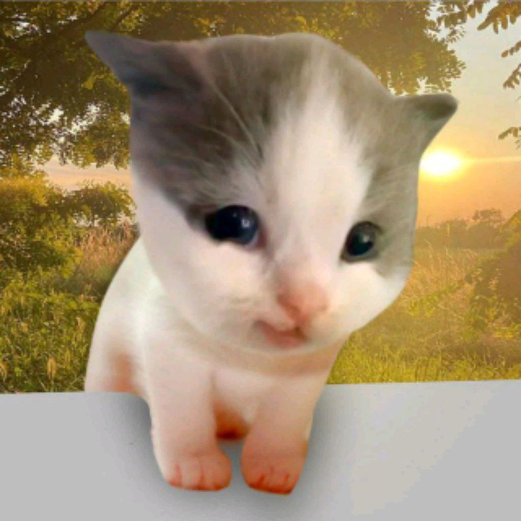 Вилли (перезаливы)