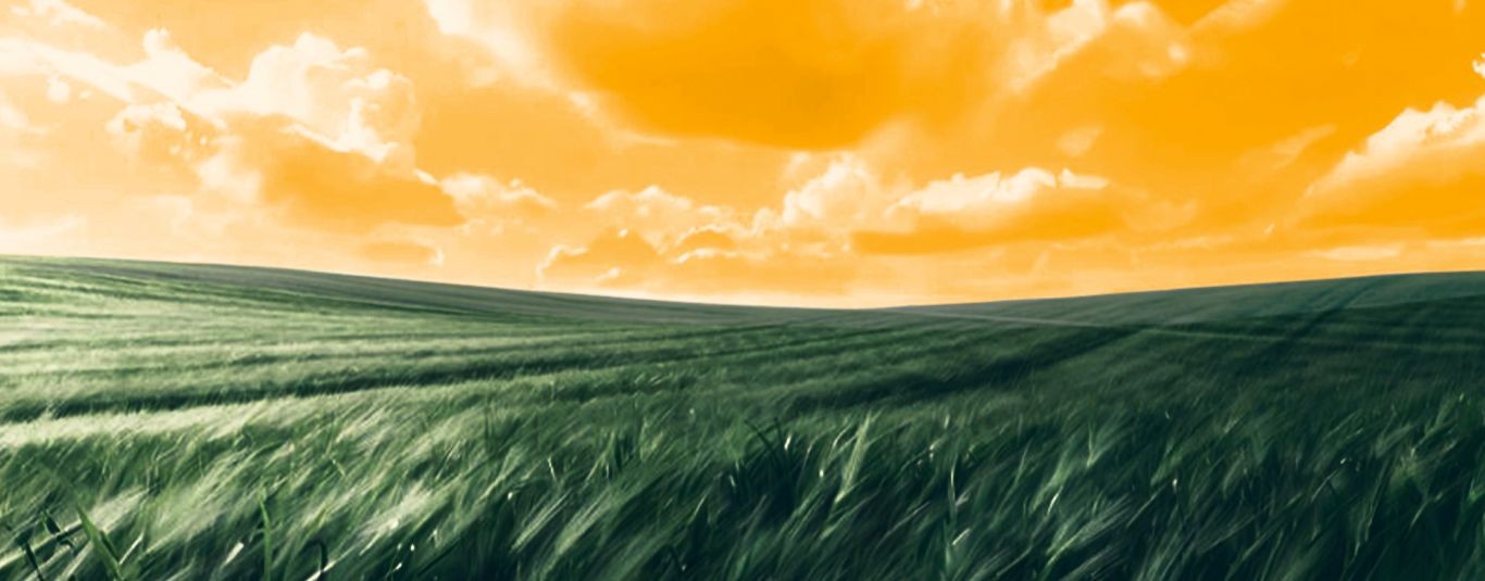 Общество живых композиторов