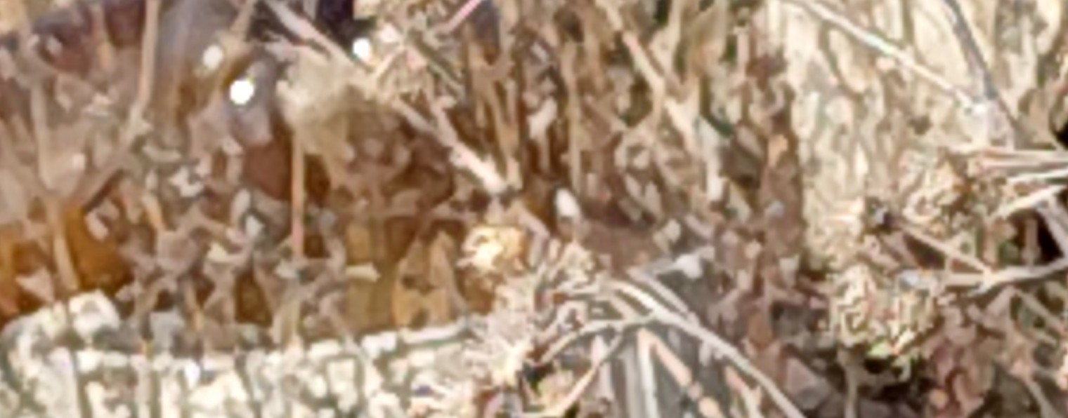 Jentelmen RBX Empire