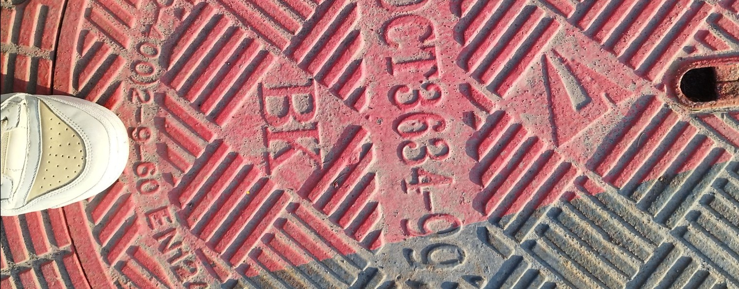 Дарина Лившиц