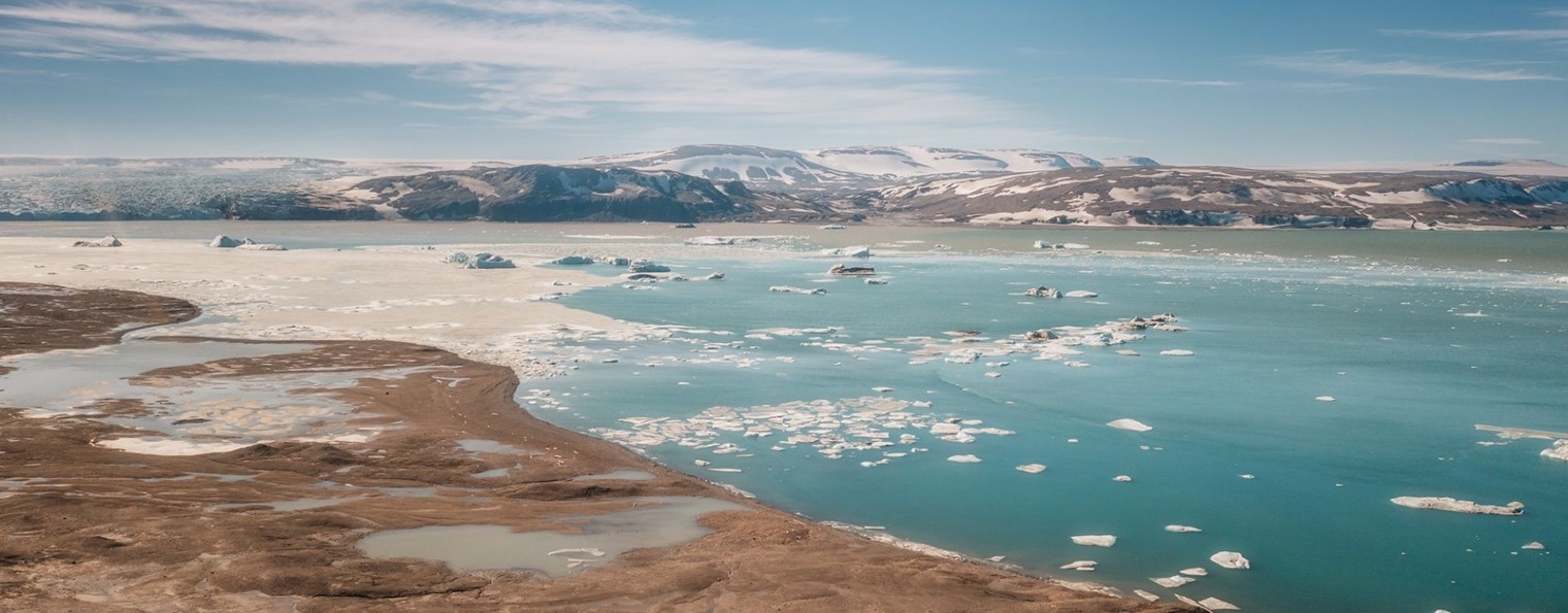Анастасия Ломакина
