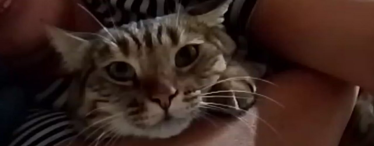 Живу свою Жизнь