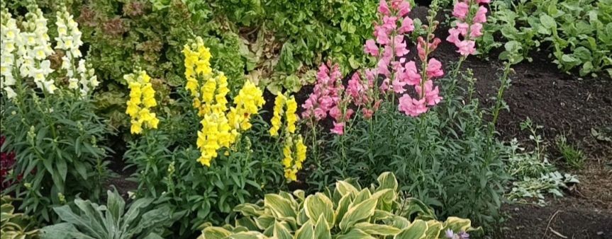 Что посеешь, то пожнёшь