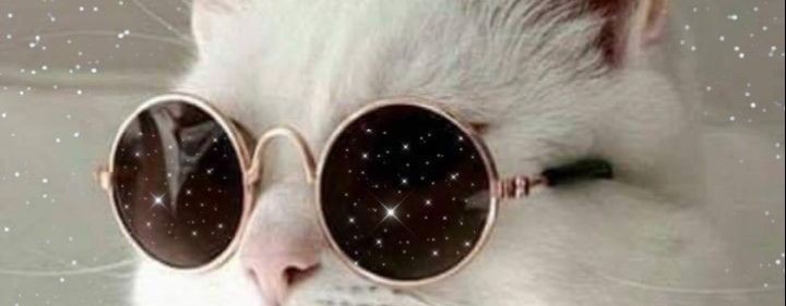 Песни на мои стихи.