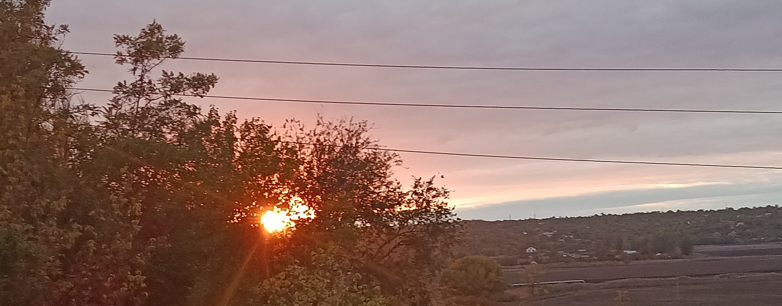 🎀°•°Obzors°•°🎀