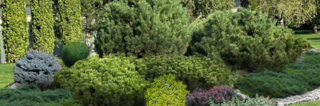 ОКСАНА СТРОИТ ВСЕ