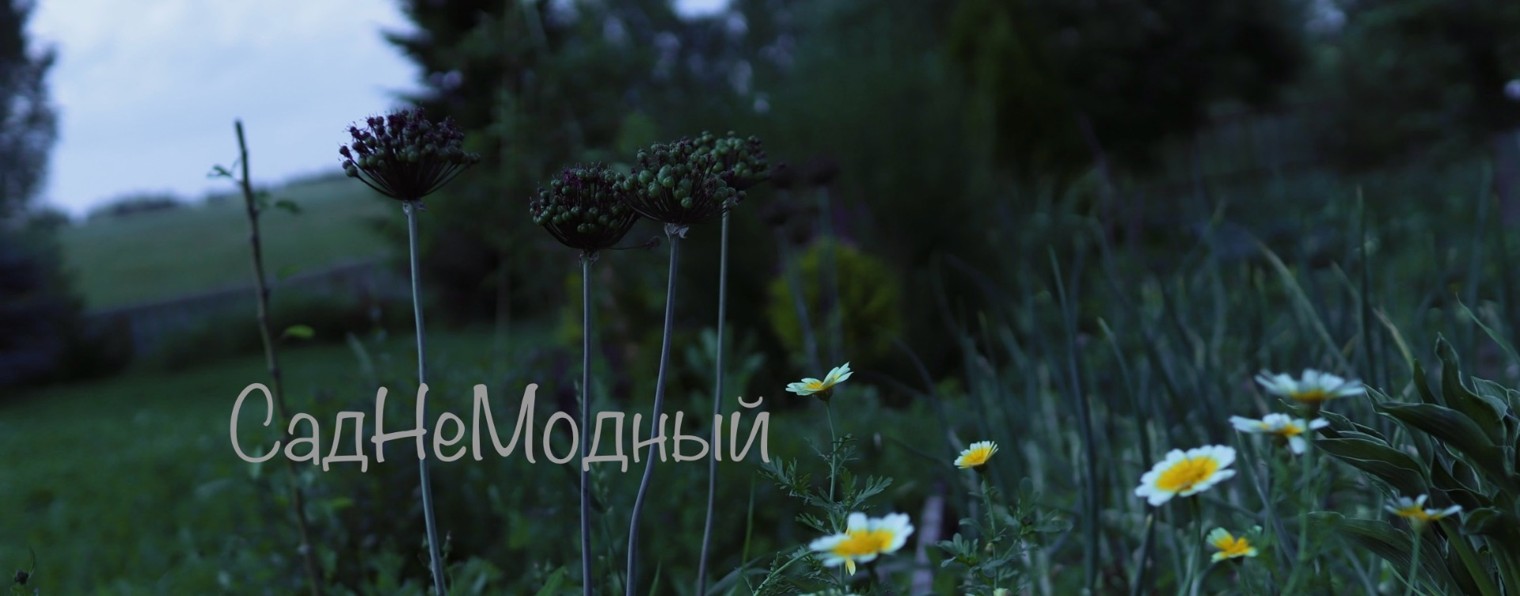 СадНеМоДный