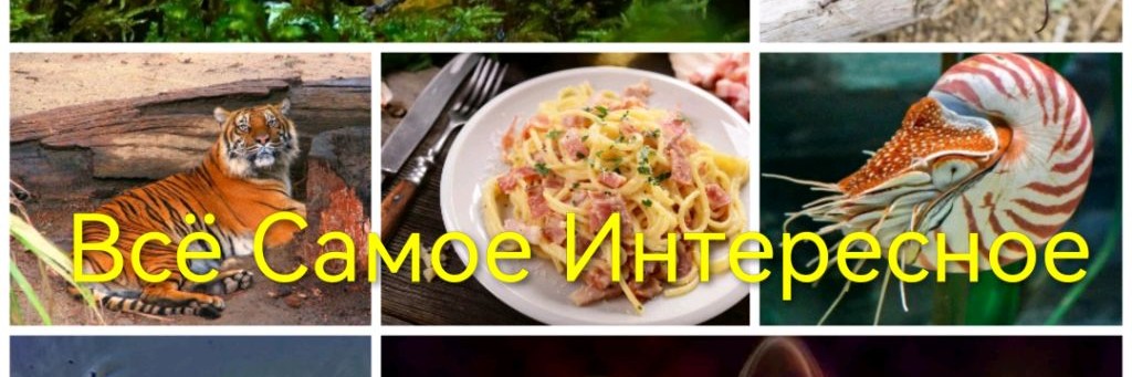 Всё Самое Интересное