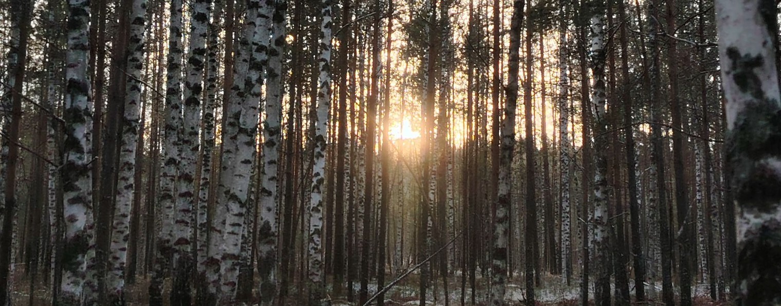 Жизнь в глубинке Марий Эл