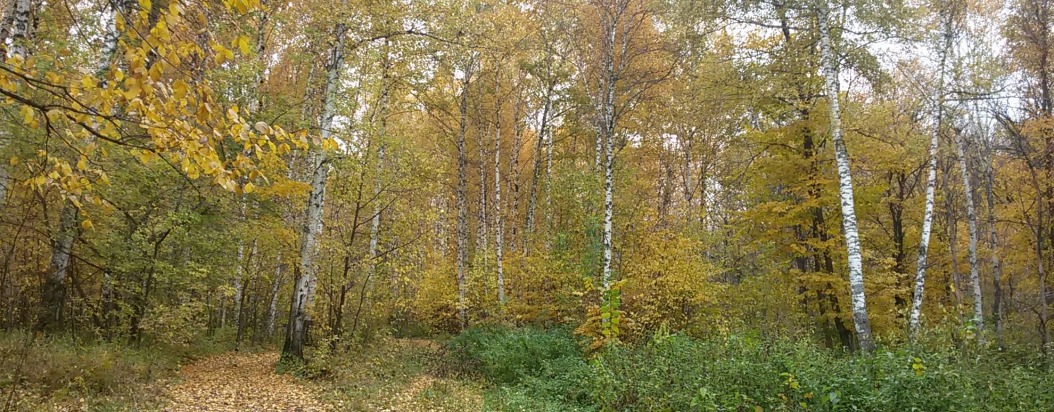 Мастер-Опт.РФ