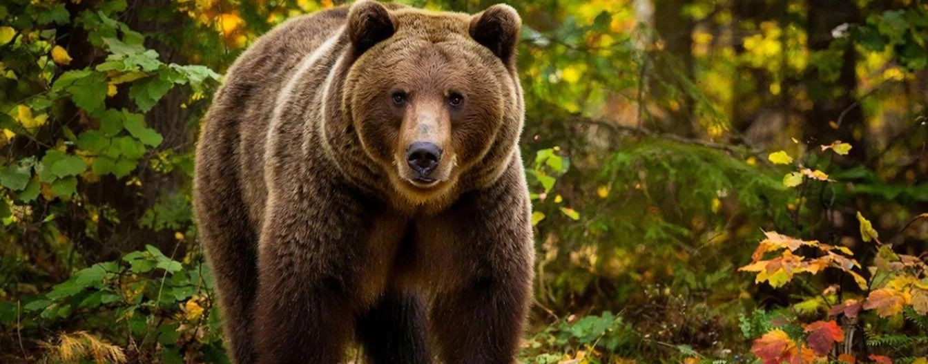 Константин