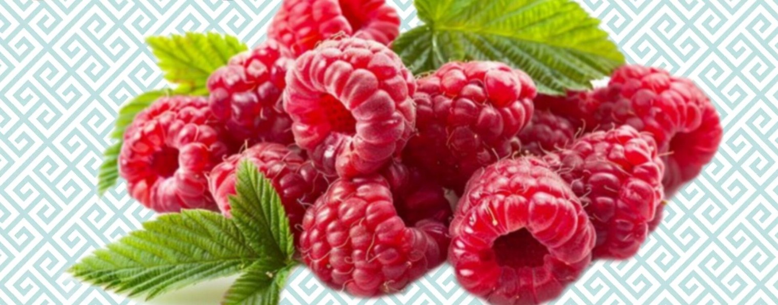 ОБЗОРЫ Галинка Malinka