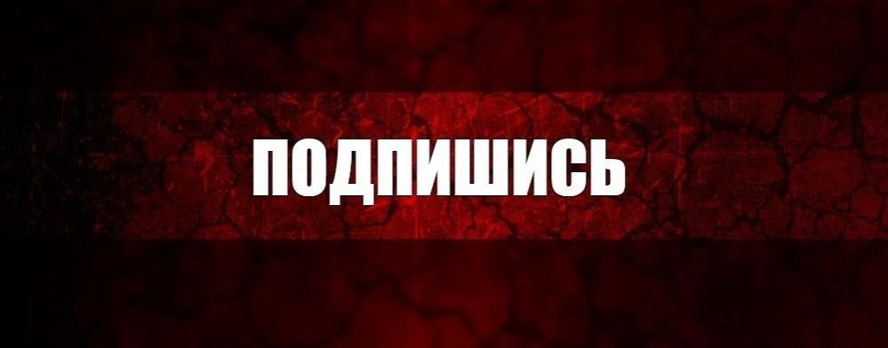 Котик Семён