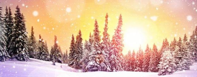 Моя жизнь в деревне