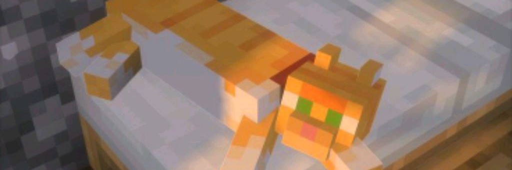 Мистер Гусь