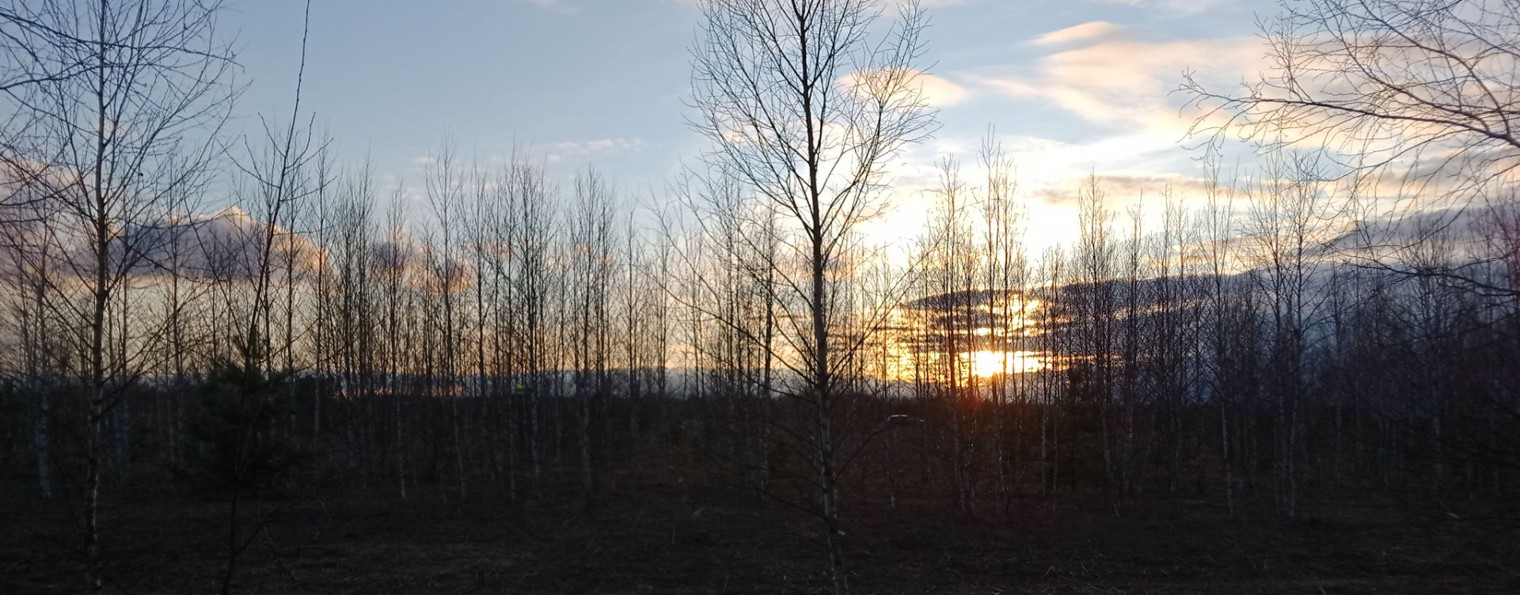 Добрый Лесник